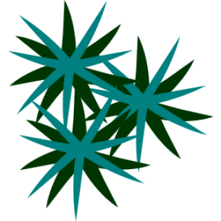 Agaves