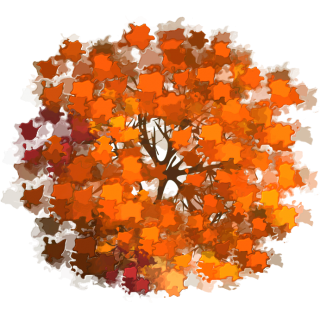 Arbre 11