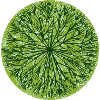 Arbre 3