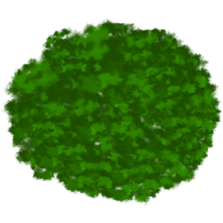 Arbre 5