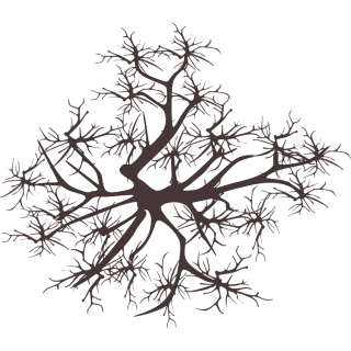Arbre hiver 2