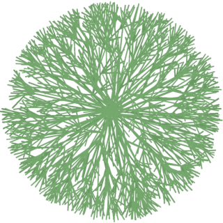 Arbuste branche clair