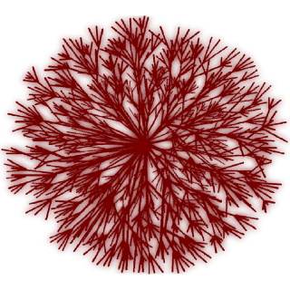 Goumi du Japon
