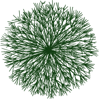 Buisson 3