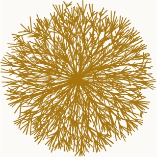 Buisson 4
