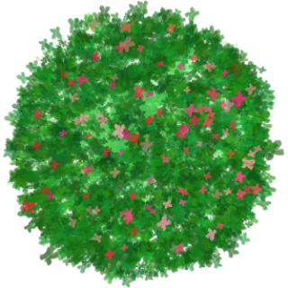 Buisson fleur 2