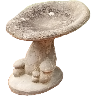 Champignon