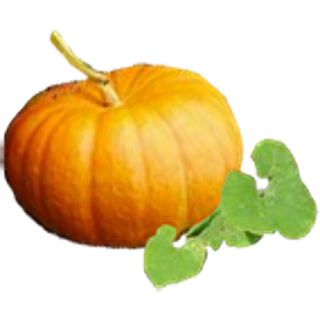 Citrouille