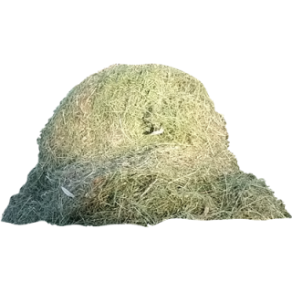 Foin