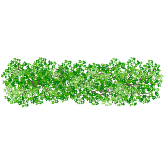 Haie rectangulaire 3