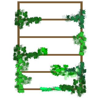 Pergola Bois