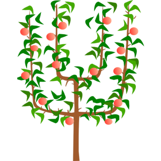 Pommier palmette Verrier
