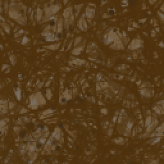 Terre