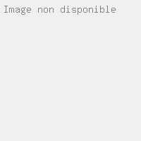 Lierre arche