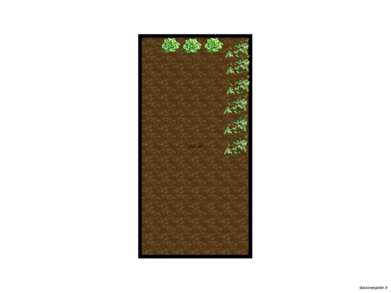 Jardin 1