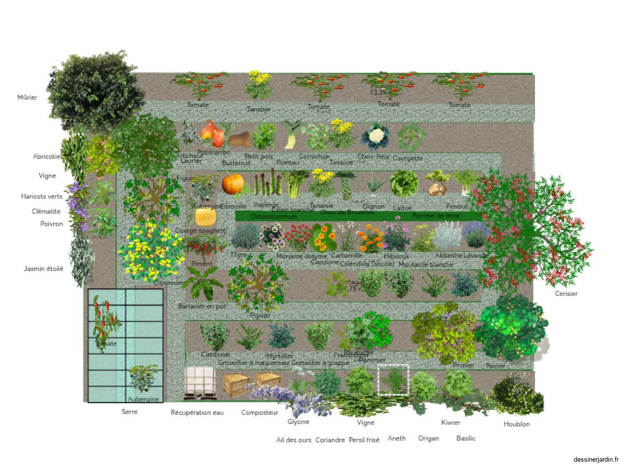 POTAGER 15X10 