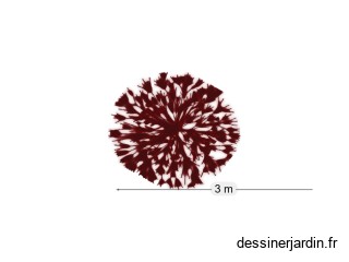 massif1