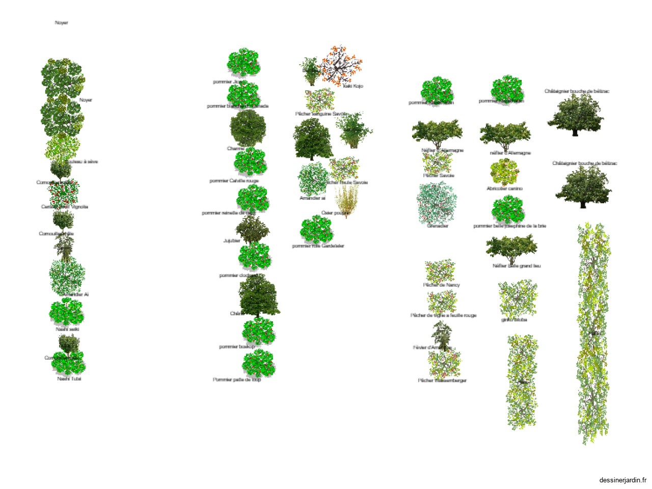 Foret jardin plan 3