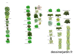 Foret jardin plan 3