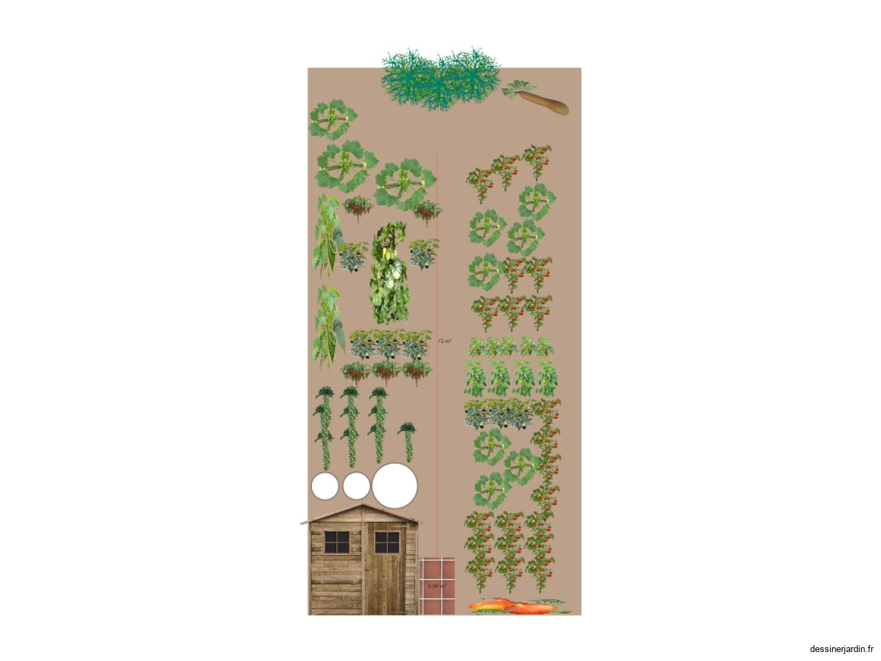 Jardin été 2023