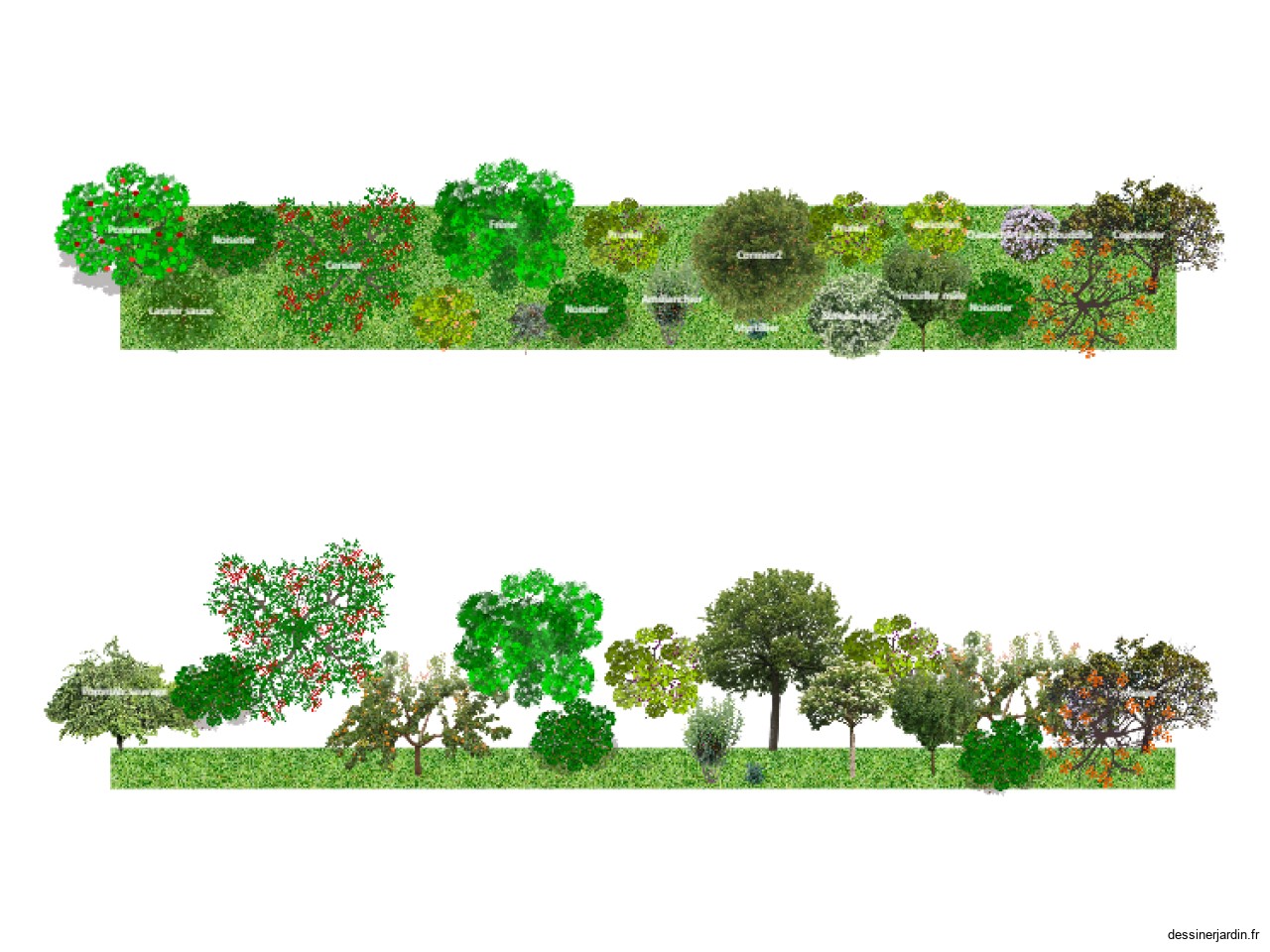 Haie fruitière bocagère