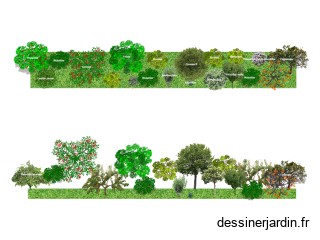 Haie fruitière bocagère