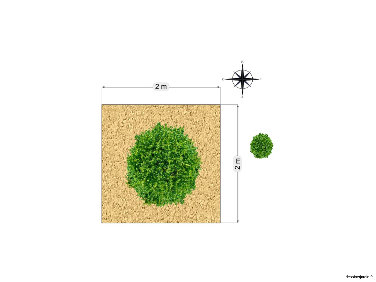Massif arbre 2/2m
