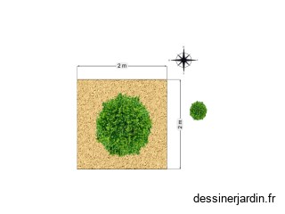 Massif arbre 2/2m