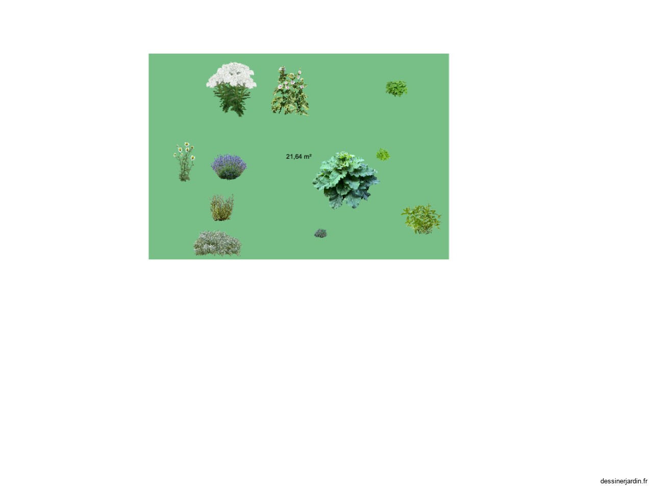 Test 1 m&eacute;dicinal potager