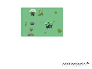 Test 1 m&eacute;dicinal potager