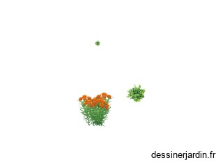 Jardin de fleurs 