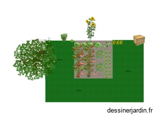 Mon petit potager
