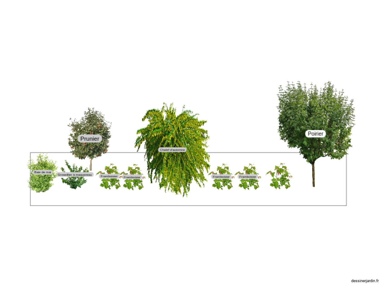 Jardin foret vue de coupe côté Est