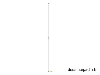Menthe
