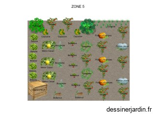 ZONE 5