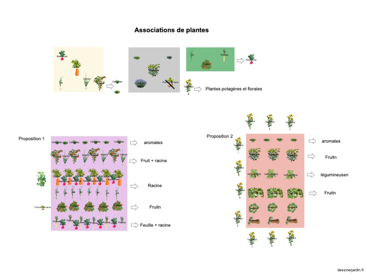 Association de plante