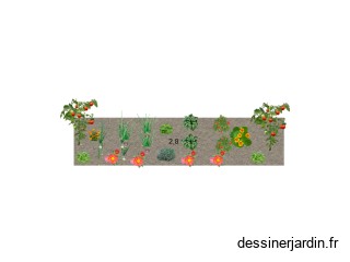 Potager1