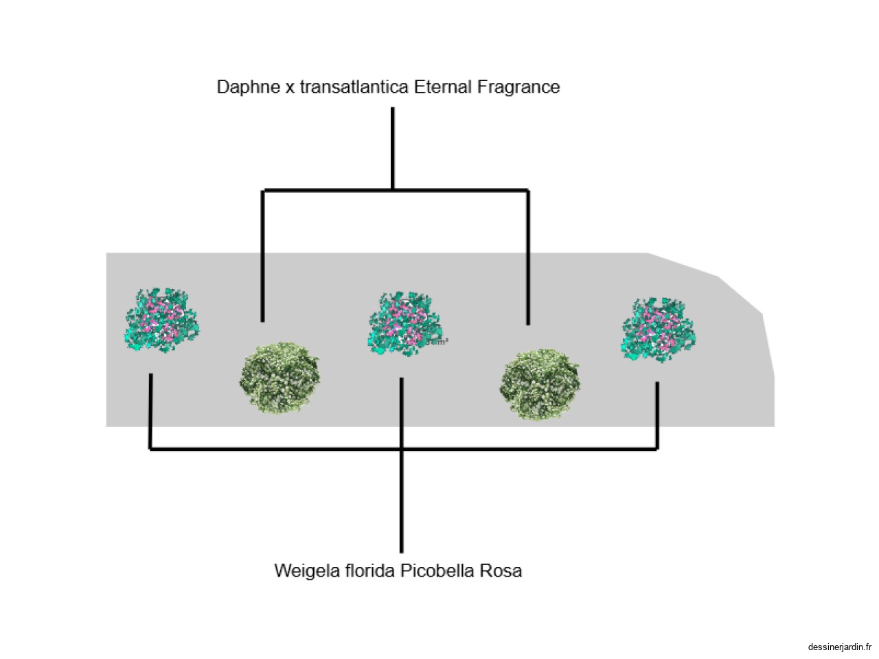 massif galet médiathèque