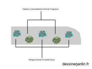 massif galet médiathèque
