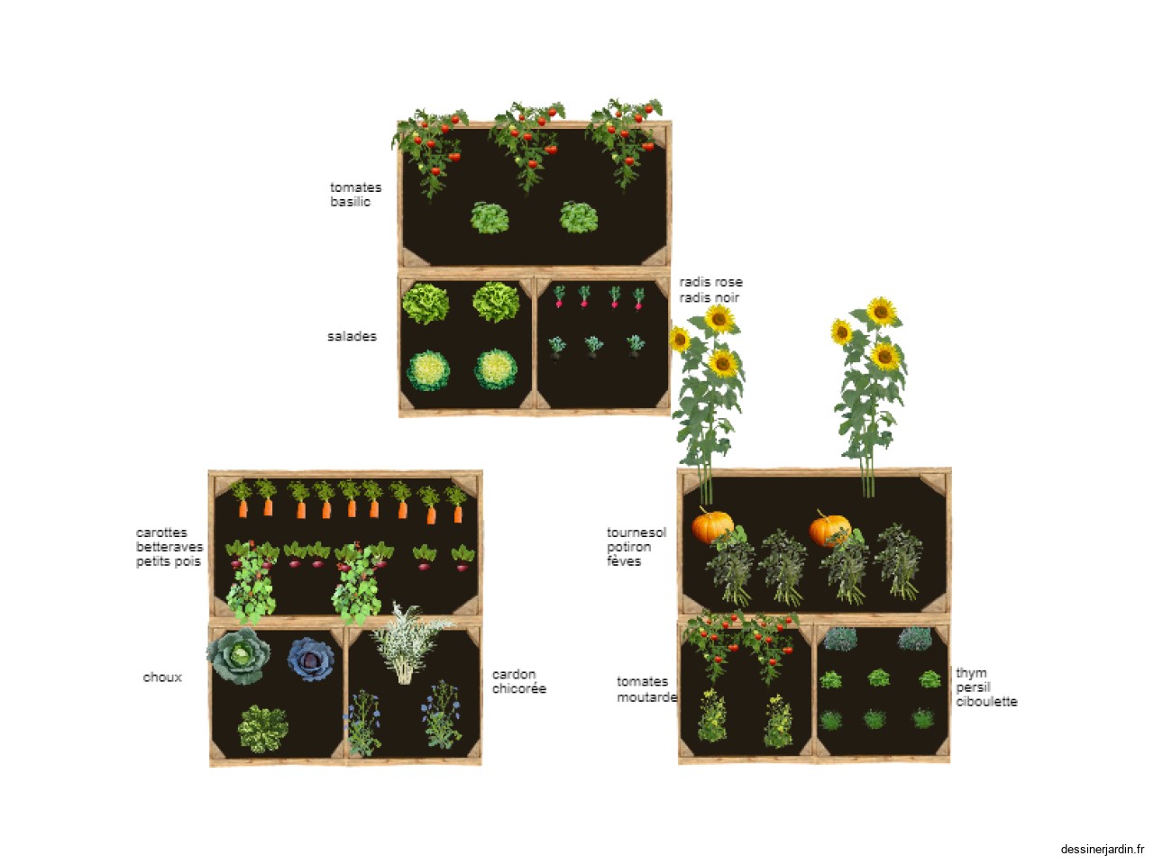 carrés potagers école