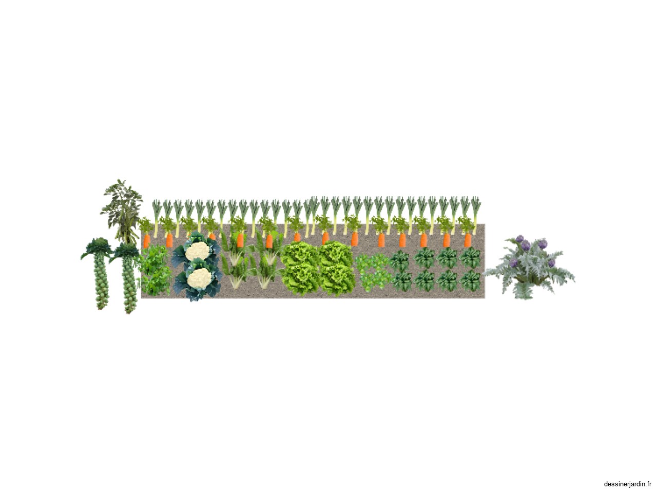 potager automne 