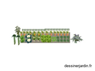 potager automne 