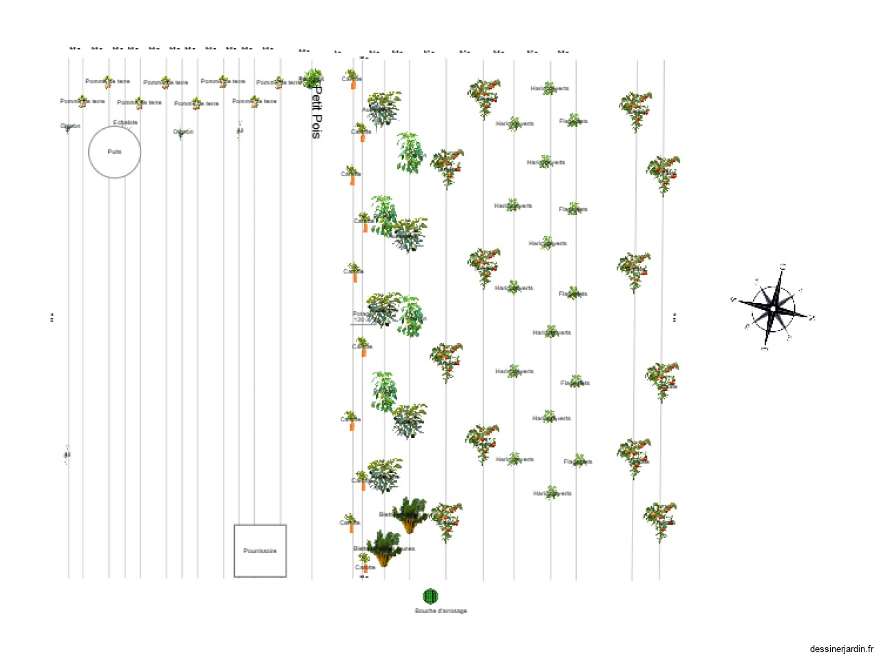 Plan Potager 2025