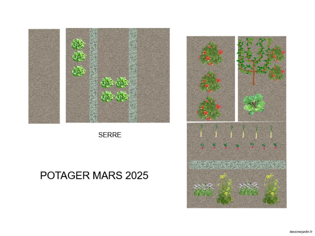 POTAGER MARS 2025