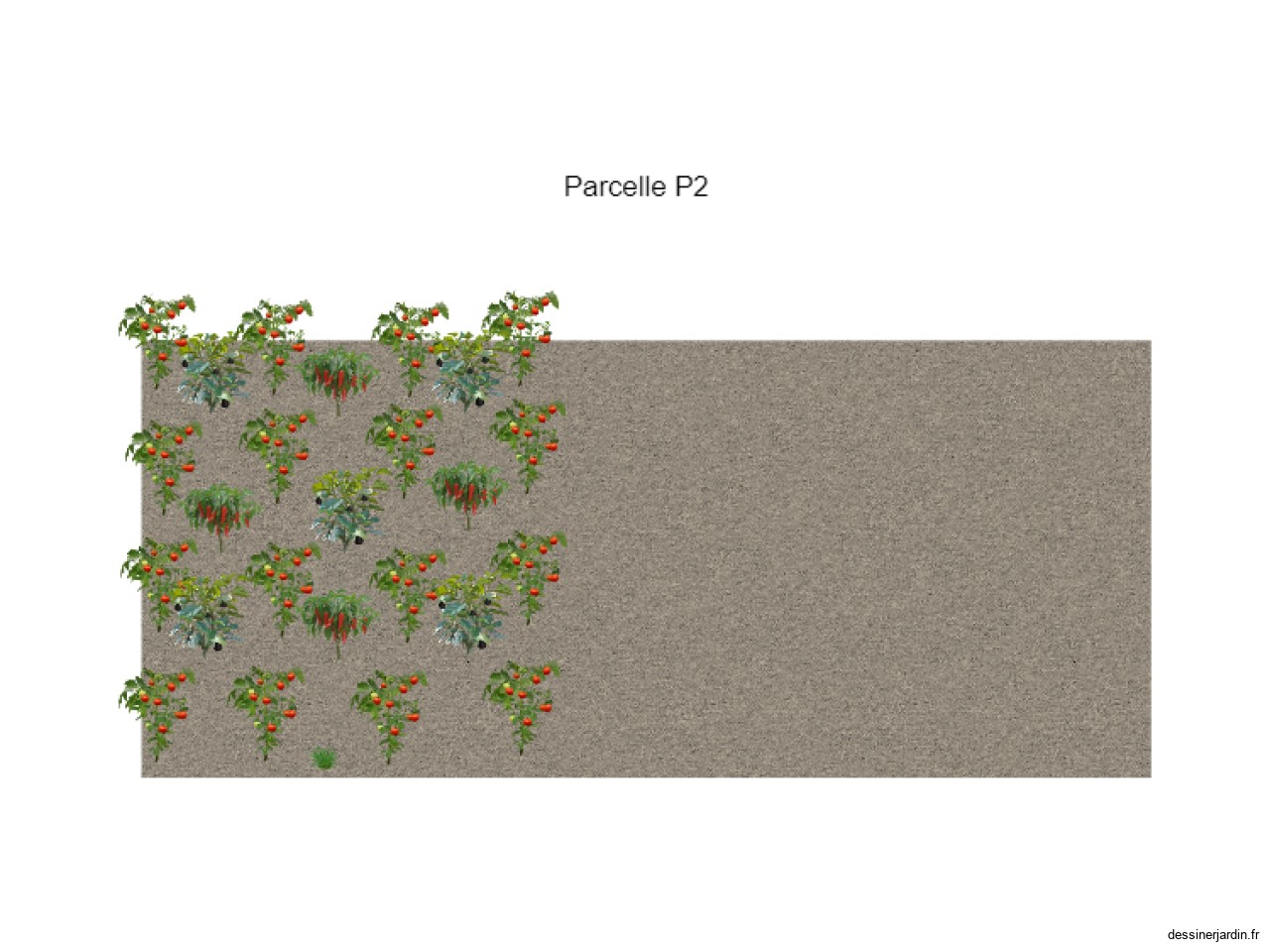 Parcelle 2 Vision