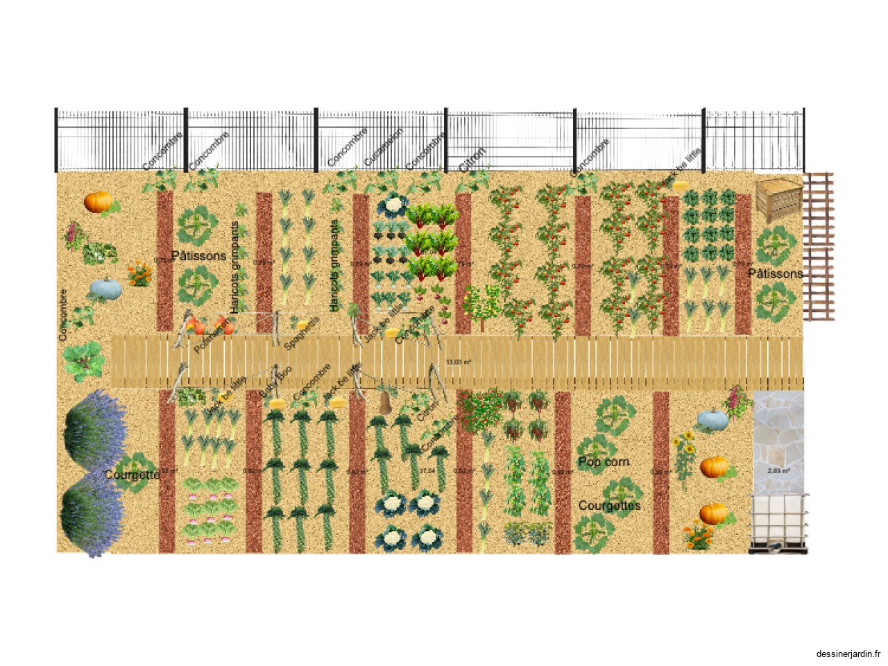 Potager 2025/Eté-Automne