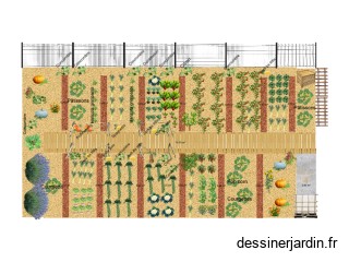Potager 2025/Eté-Automne