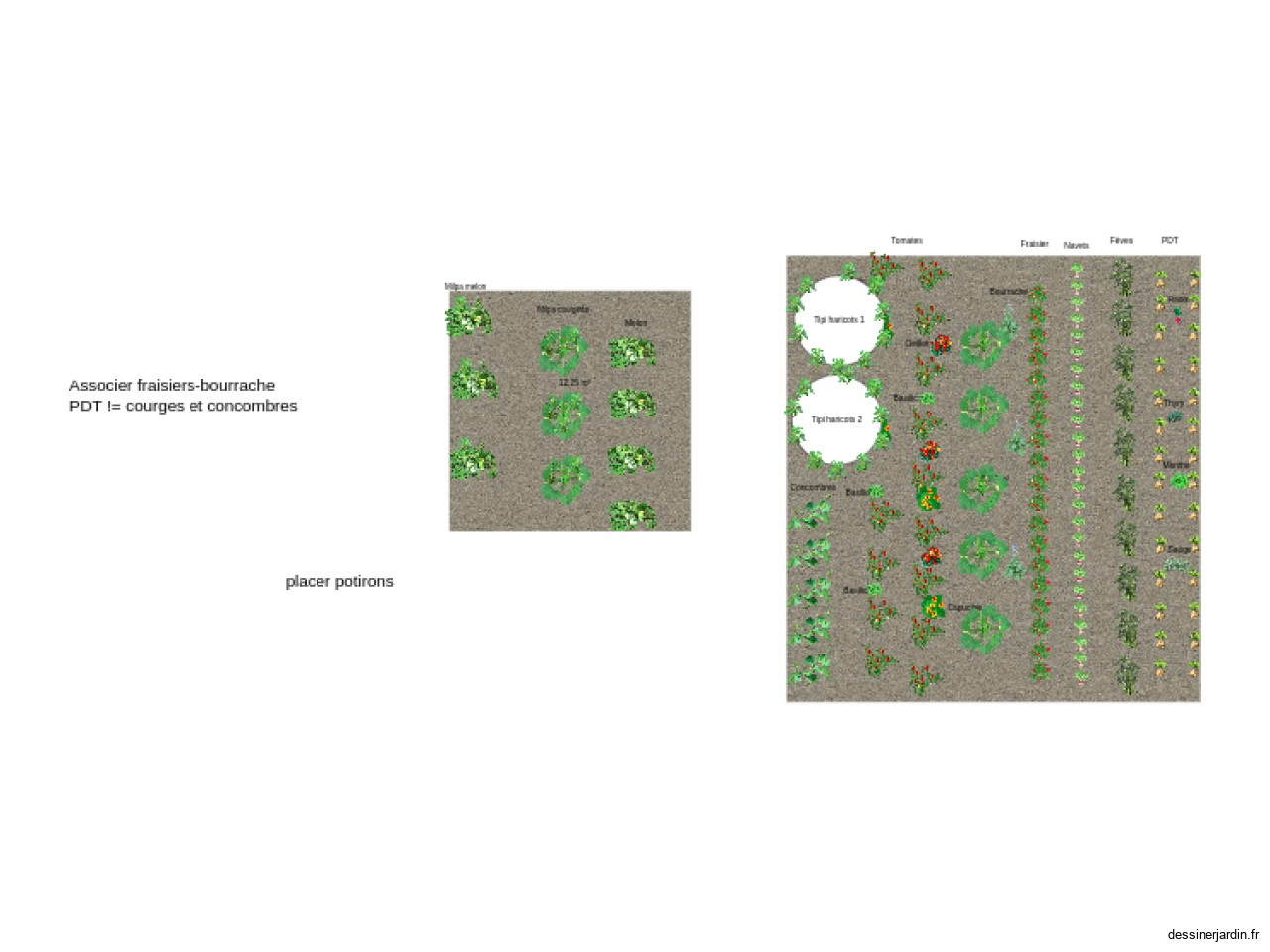 Potager grande zone