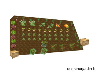 Mon potager