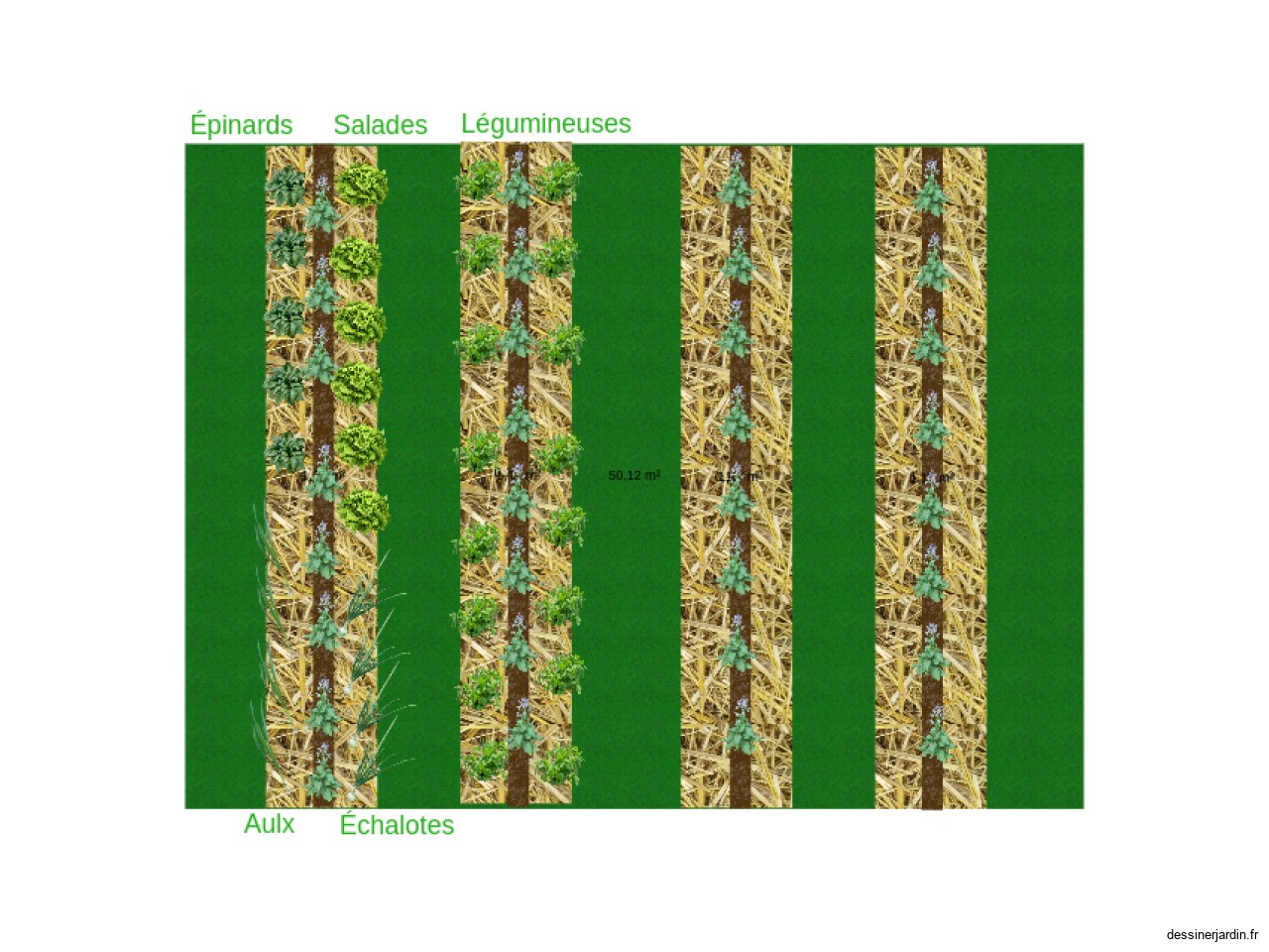 Plan du potager année 1